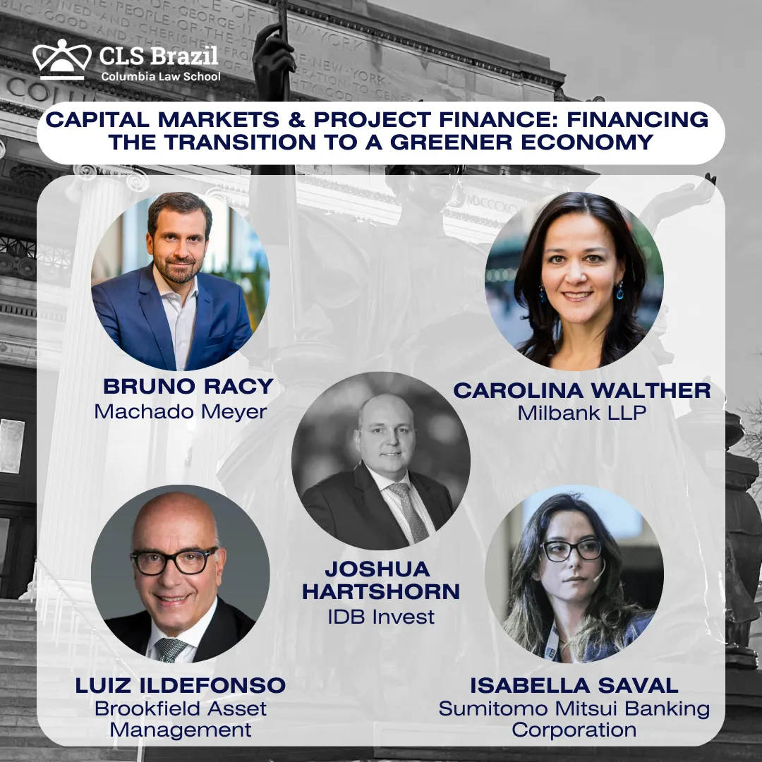 Project finance panel