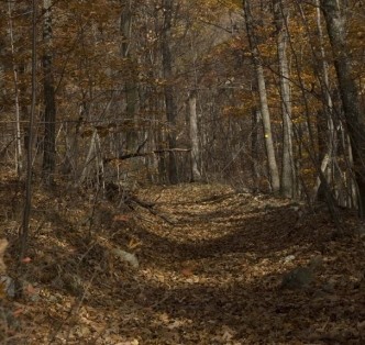 Fall Hike 2010