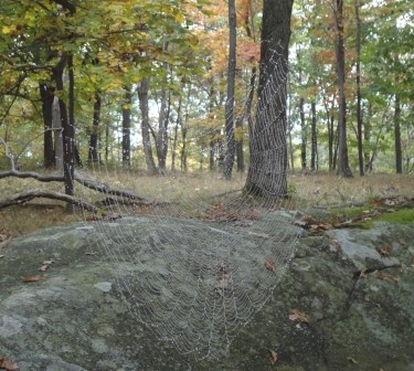 Fall Hike 2013
