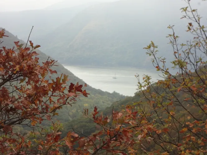 Fall Hike 2013