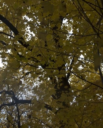 Fall Hike 2010