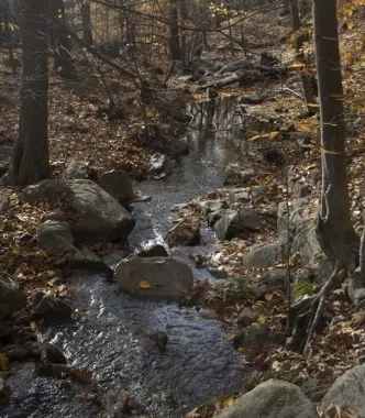 Fall Hike 2010