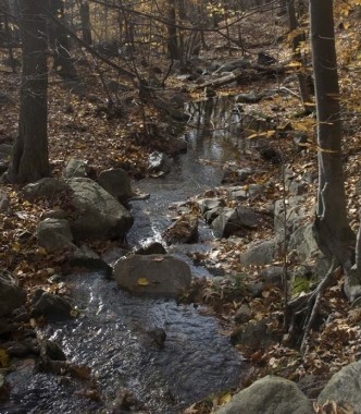 Fall Hike 2010