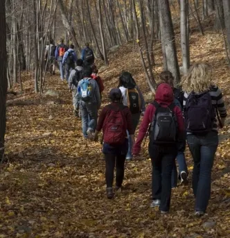 Fall Hike 2010