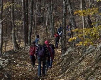 Fall Hike 2010