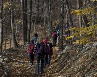 Fall Hike 2010