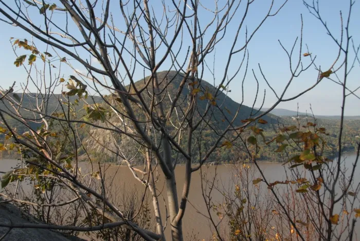 Fall Hike 2011