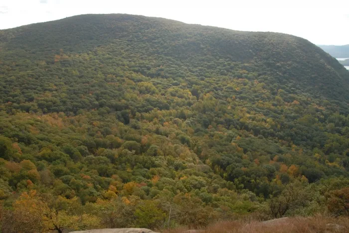 Fall Hike 2011