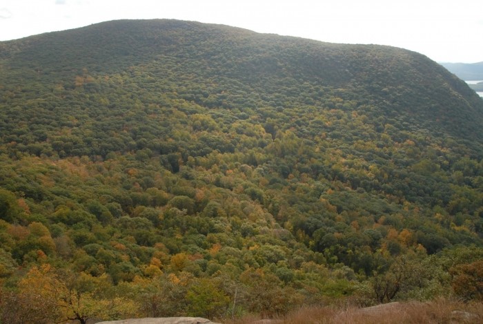 Fall Hike 2011
