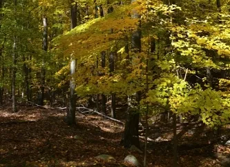 Fall Hike 2012