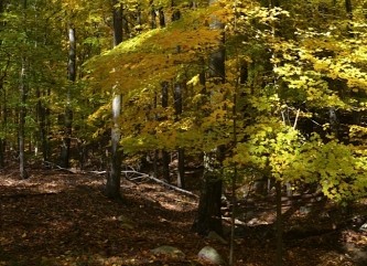 Fall Hike 2012