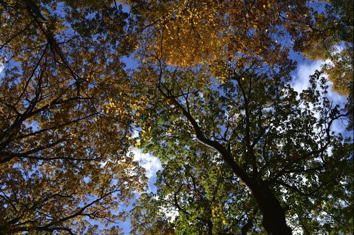 Fall Hike 2012