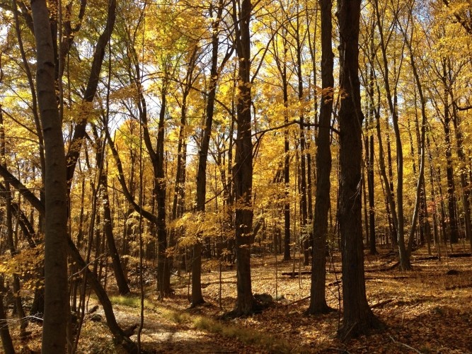 Fall Hike 2012
