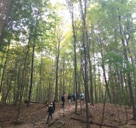 Fall Hike 2015
