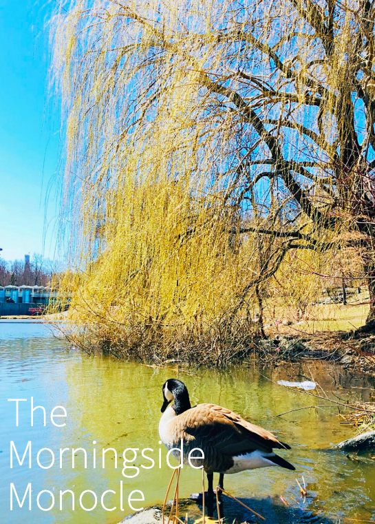 Spring 2019 Cover Page